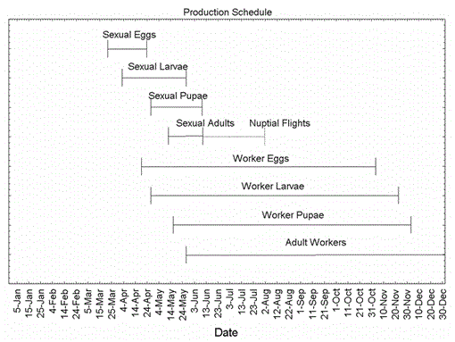 Nuptial Flight Schedule 2022 The Sociometry And Sociogenesis Of Reproduction In The Florida Harvester  Ant, Pogonomyrmex Badius