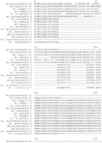 Mosquito Vitellogenin Genes Comparative Sequence Analysis Gene Duplication And The Role Of Rare Synonymous Codon Usage In Regulating Expression