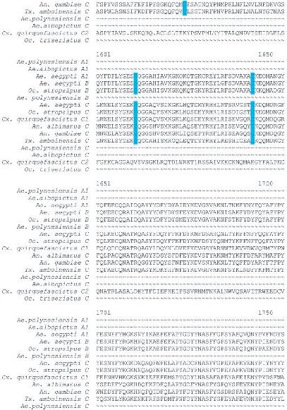 Mosquito Vitellogenin Genes Comparative Sequence Analysis Gene Duplication And The Role Of Rare Synonymous Codon Usage In Regulating Expression