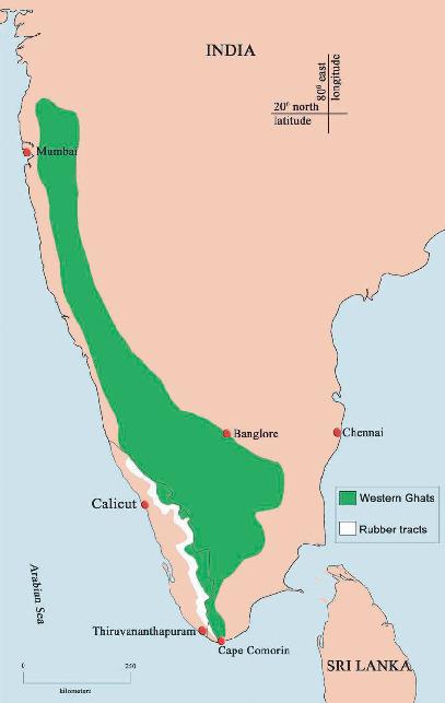 Life History Aggregation And Dormancy Of The Rubber Plantation Images, Photos, Reviews