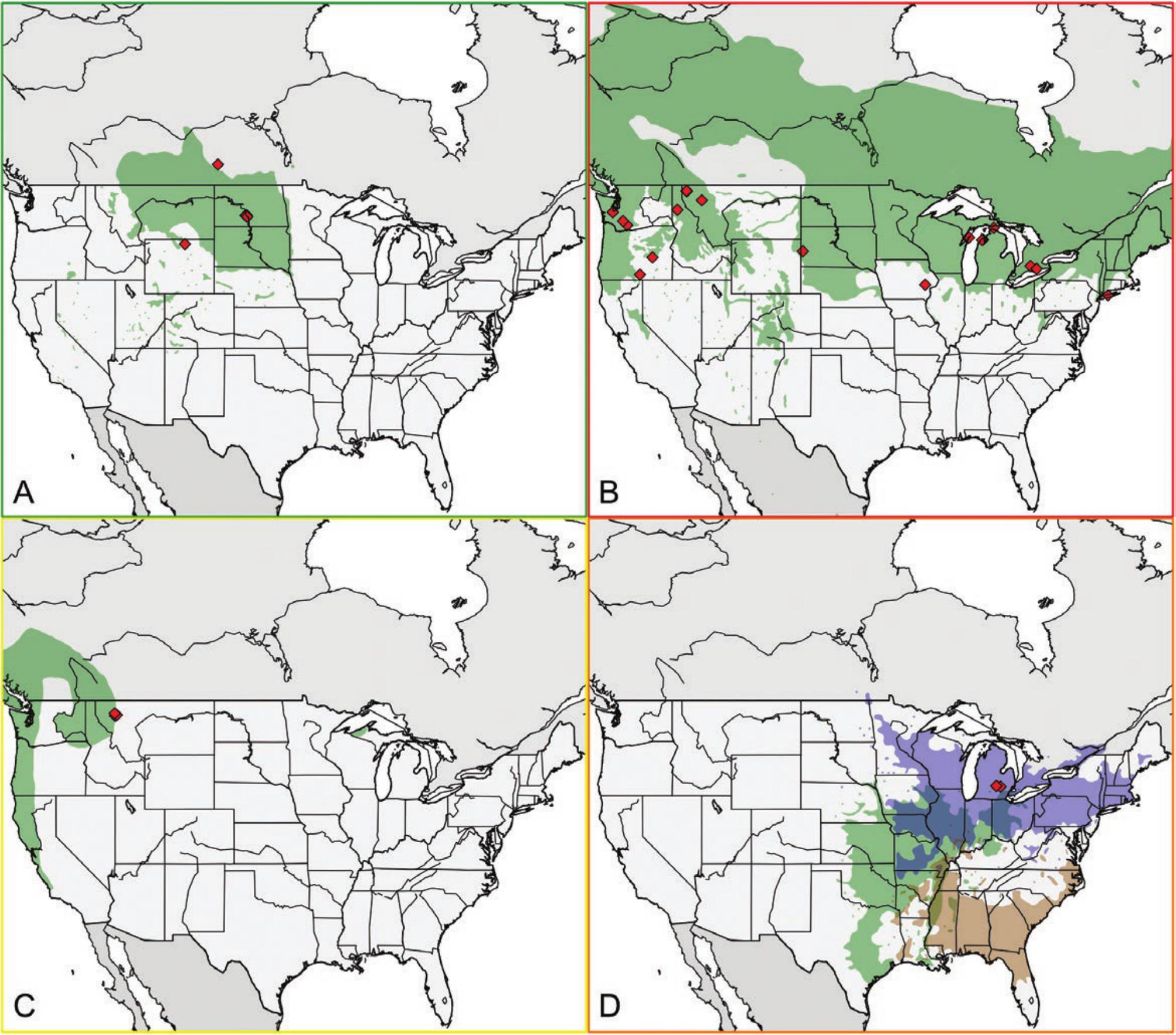 Description of a New Rhagoletis (Diptera: Tephritidae) Species in the ...