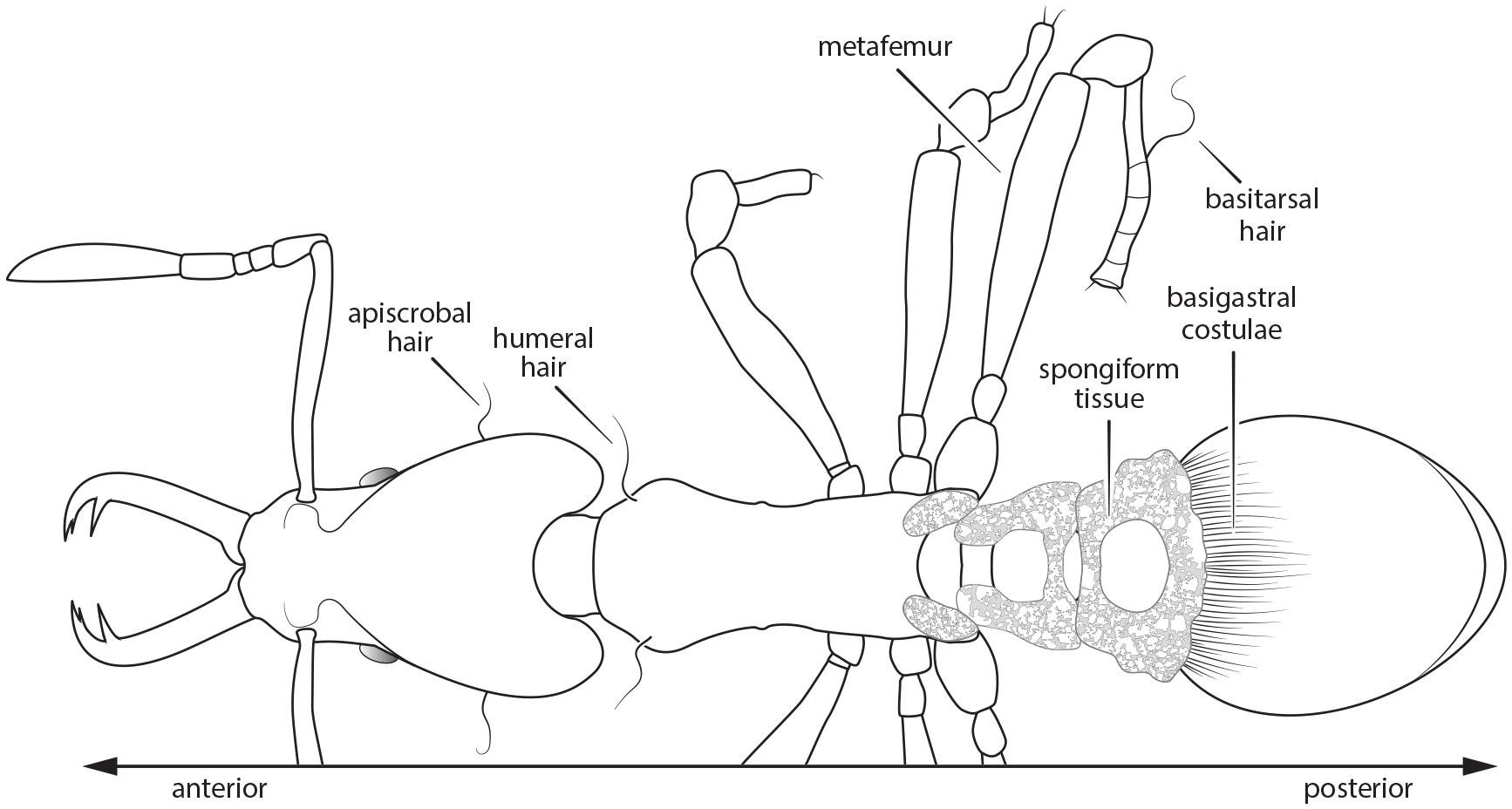 Ready Species One: Exploring the Use of Augmented Reality to Enhance ...