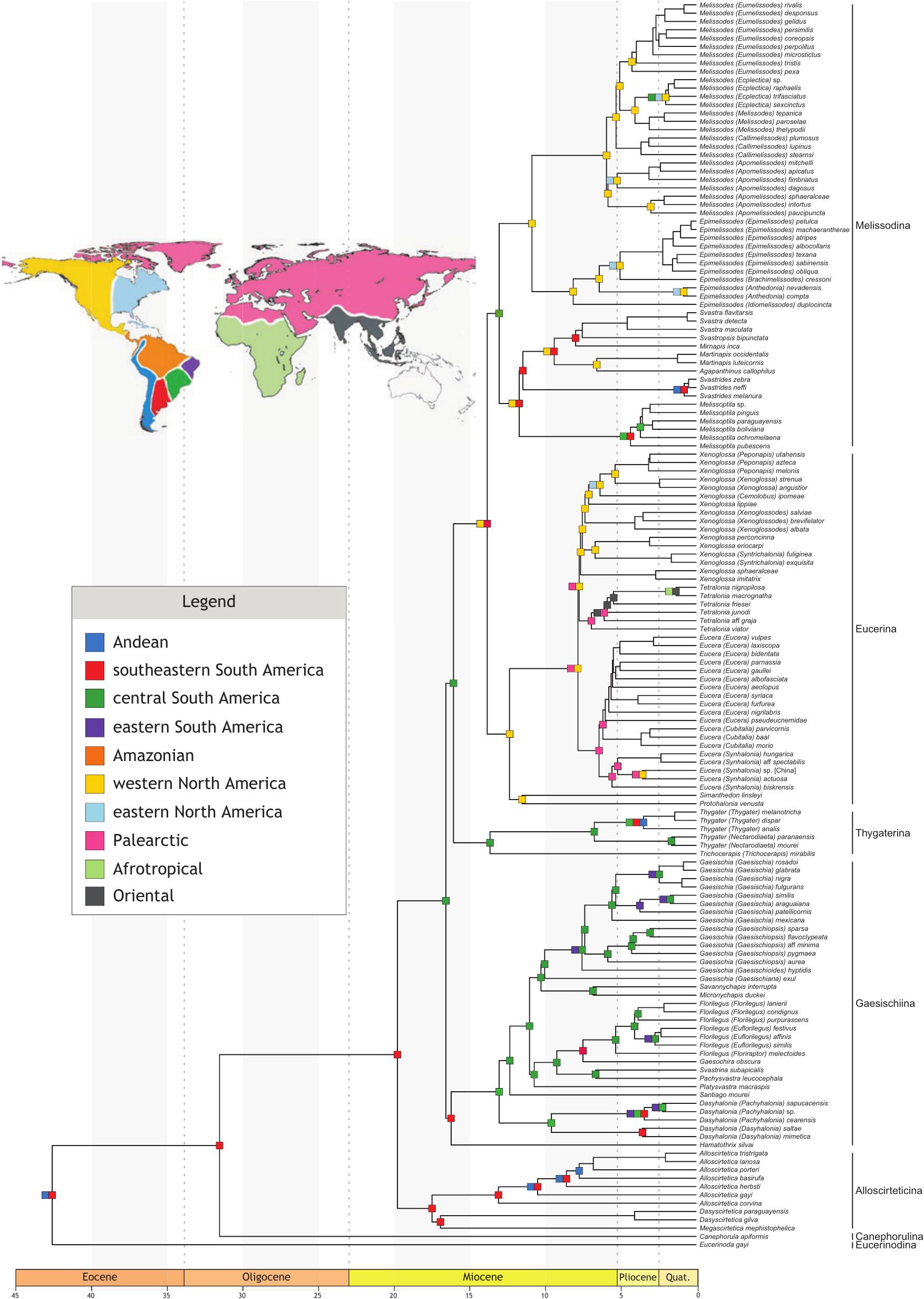 PDF) Padrões e processos biogeográficos na Amazônia