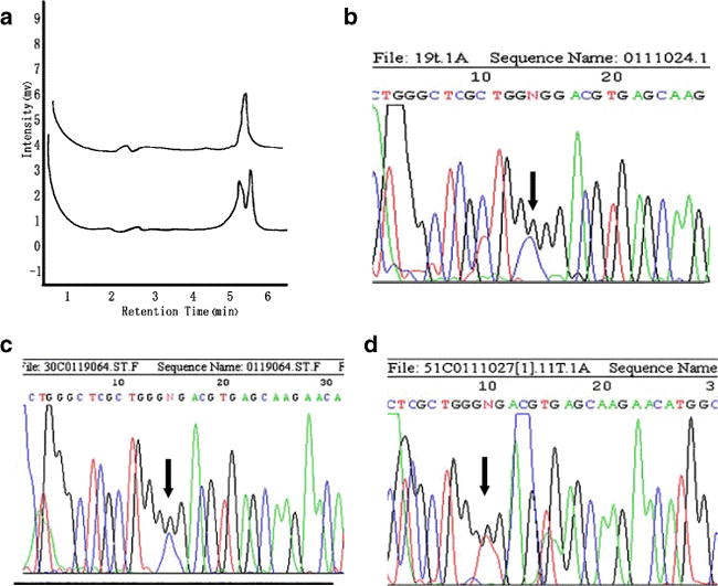 Mutational Analysis Of Thyroid Transcription Factor 1 Gene Ttf 1 In Lung Carcinomas