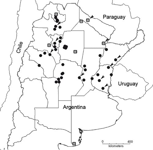 DNA barcoding and morphological identification of Argentine species of ...