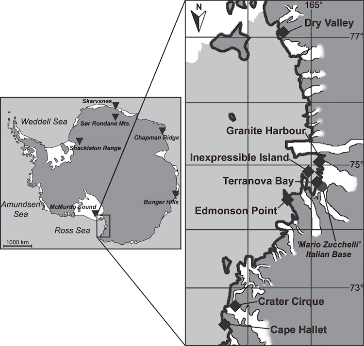 Genetic diversity and biogeography of the south polar water bear ...