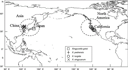 Incongruent cladistics reveal a new hydrozoan genus Cnidaria