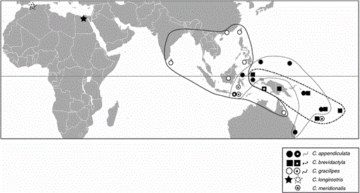 A compiled key to the recent Stomatopoda of the Indo-West Pacific region