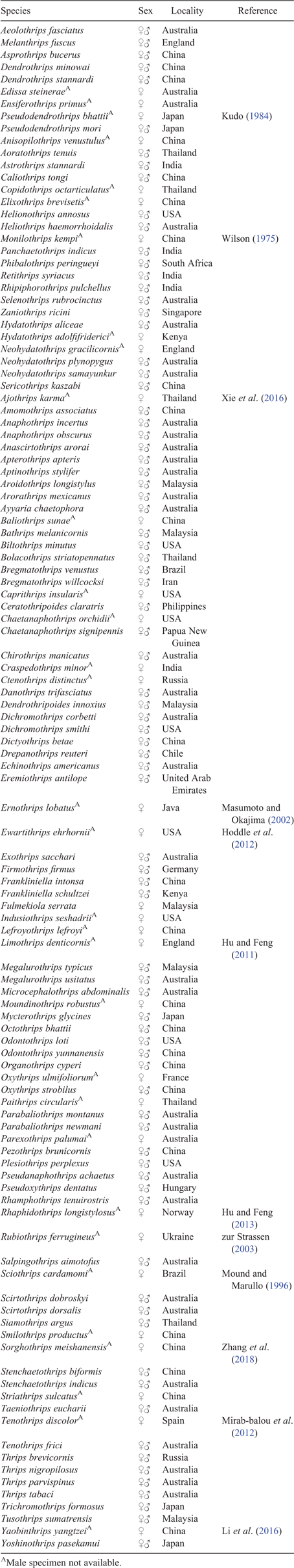 Morphological phylogeny of Thripidae (Thysanoptera : Terebrantia)