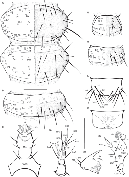 https://bioone.org/ContentImages/Journals/invs/33/5/IS19007/graphic/WebImages/IS19007_F13_22.gif