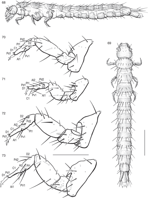 https://bioone.org/ContentImages/Journals/invs/33/5/IS19007/graphic/WebImages/IS19007_F68_73.gif