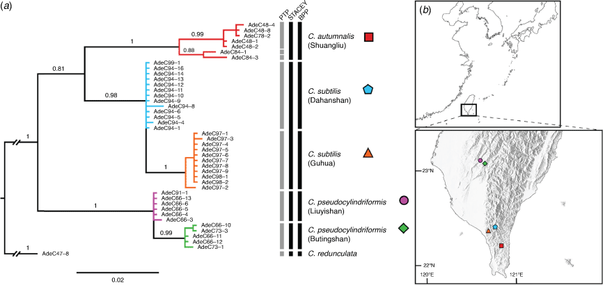 Integrative species delimitation reveals fine-scale allopatric speciation  in a good-flying insect: a case study on Cylindera pseudocylindriformis  complex (Coleoptera, Cicindelidae)