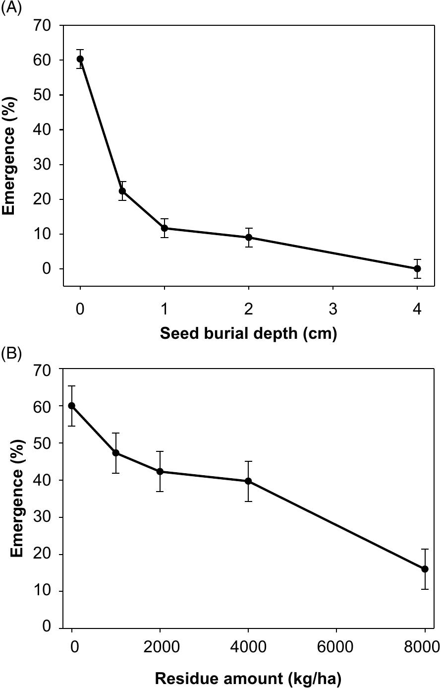 Unraveling the influence of environmental factors on fireweed (Senecio ...