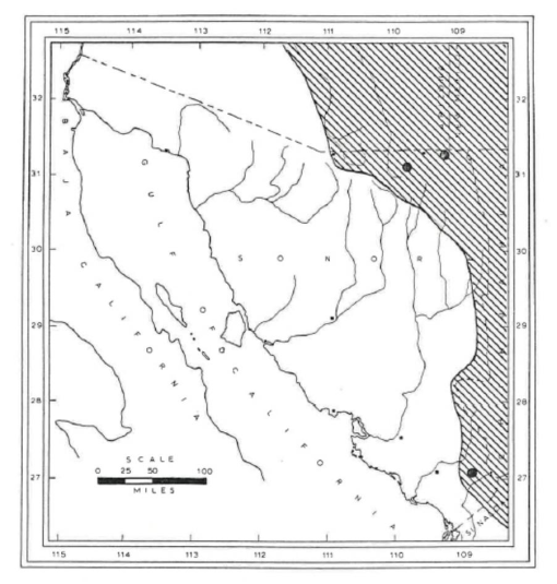 The Distribution Of The Land Mammals Of Sonora Mexico