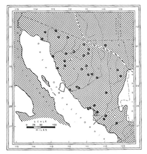 The Distribution Of The Land Mammals Of Sonora Mexico