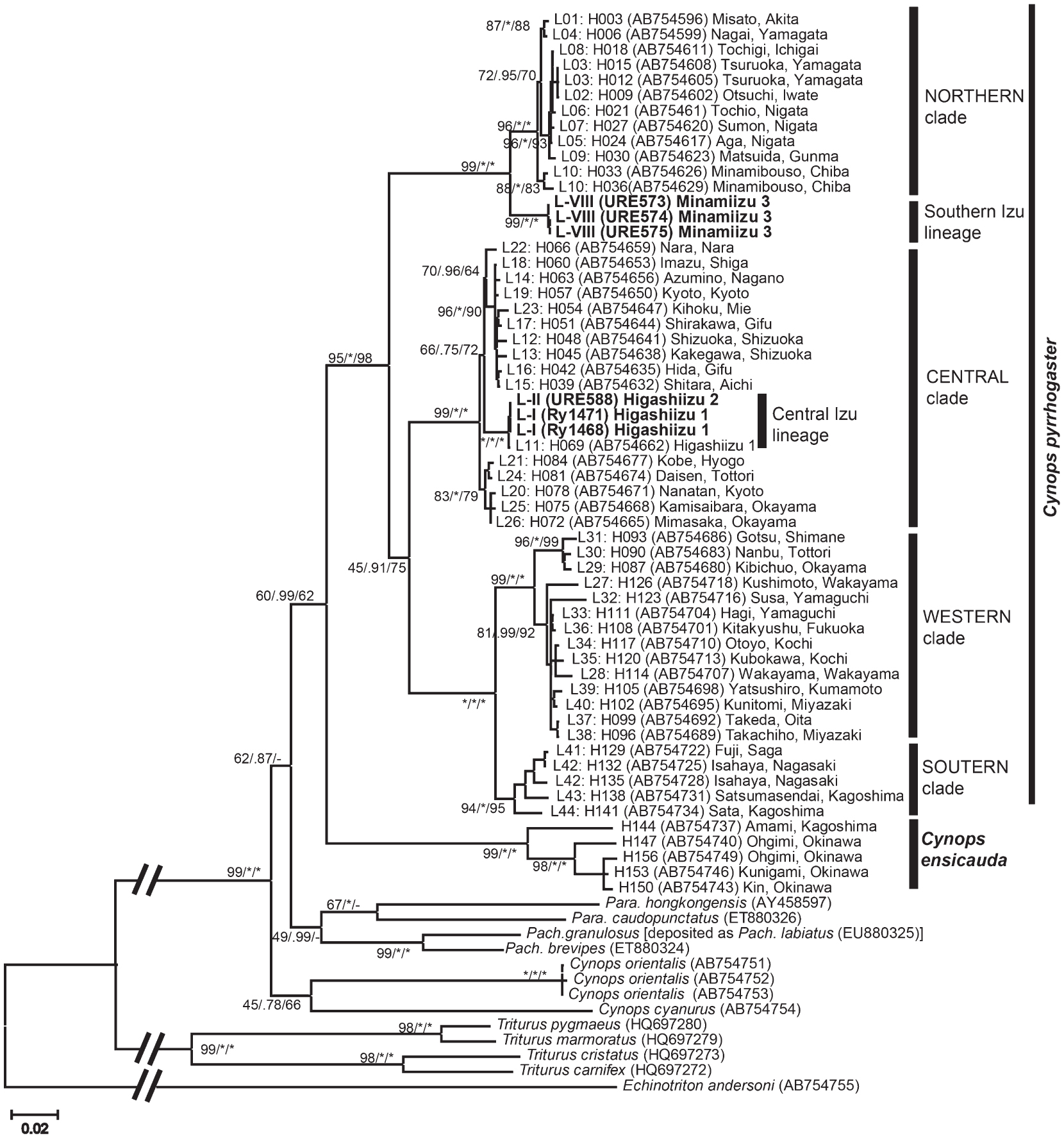 Occurrence and Evolutionary History of Two Cynops pyrrhogaster Lineages ...