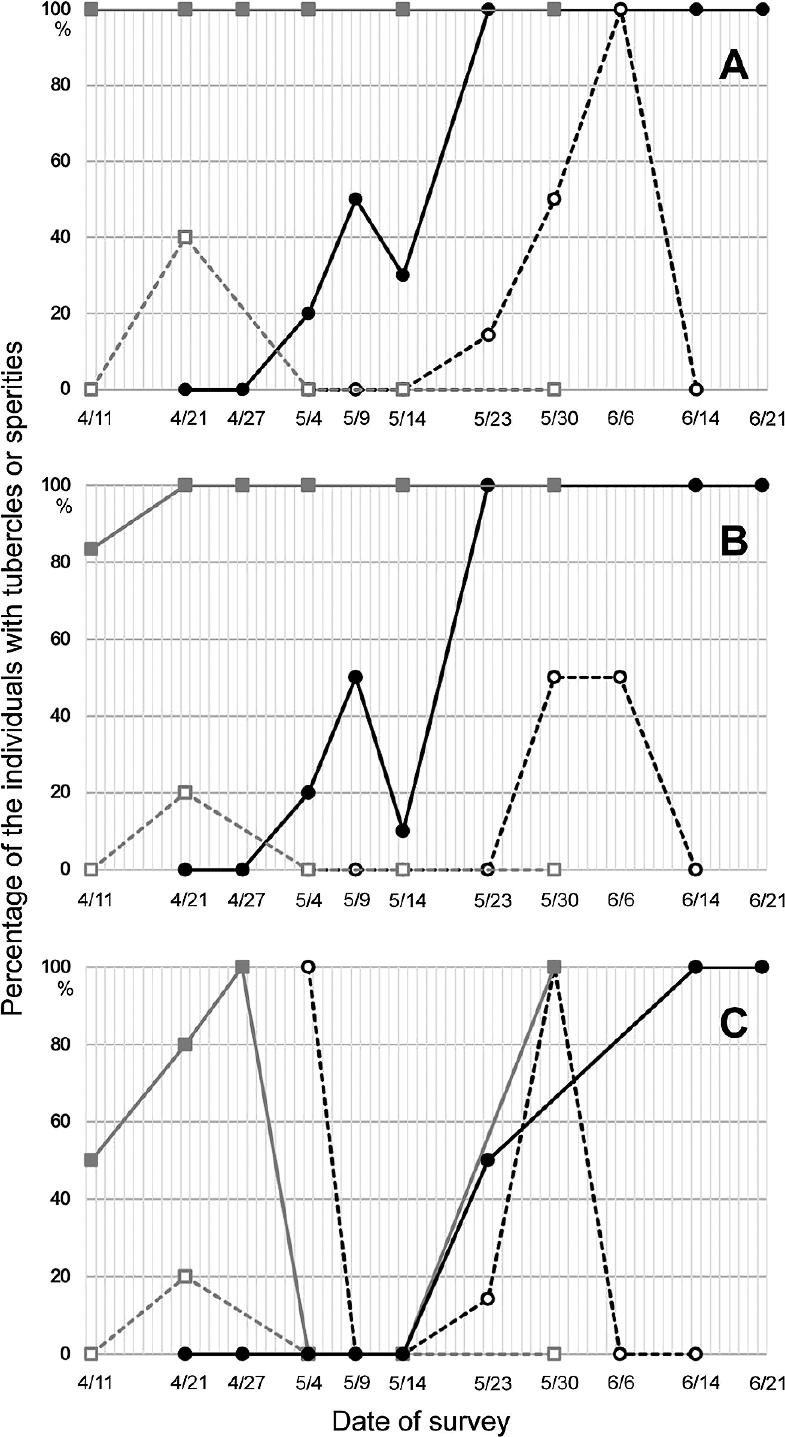 Cloacal gaping in females. The graphs represent female Relative Cloacal