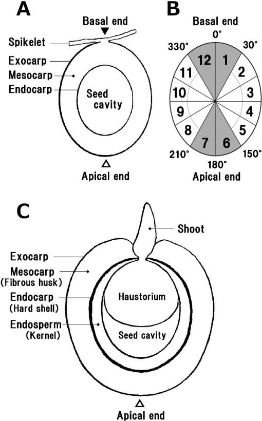 fi_ms2020-0059_001.jpg