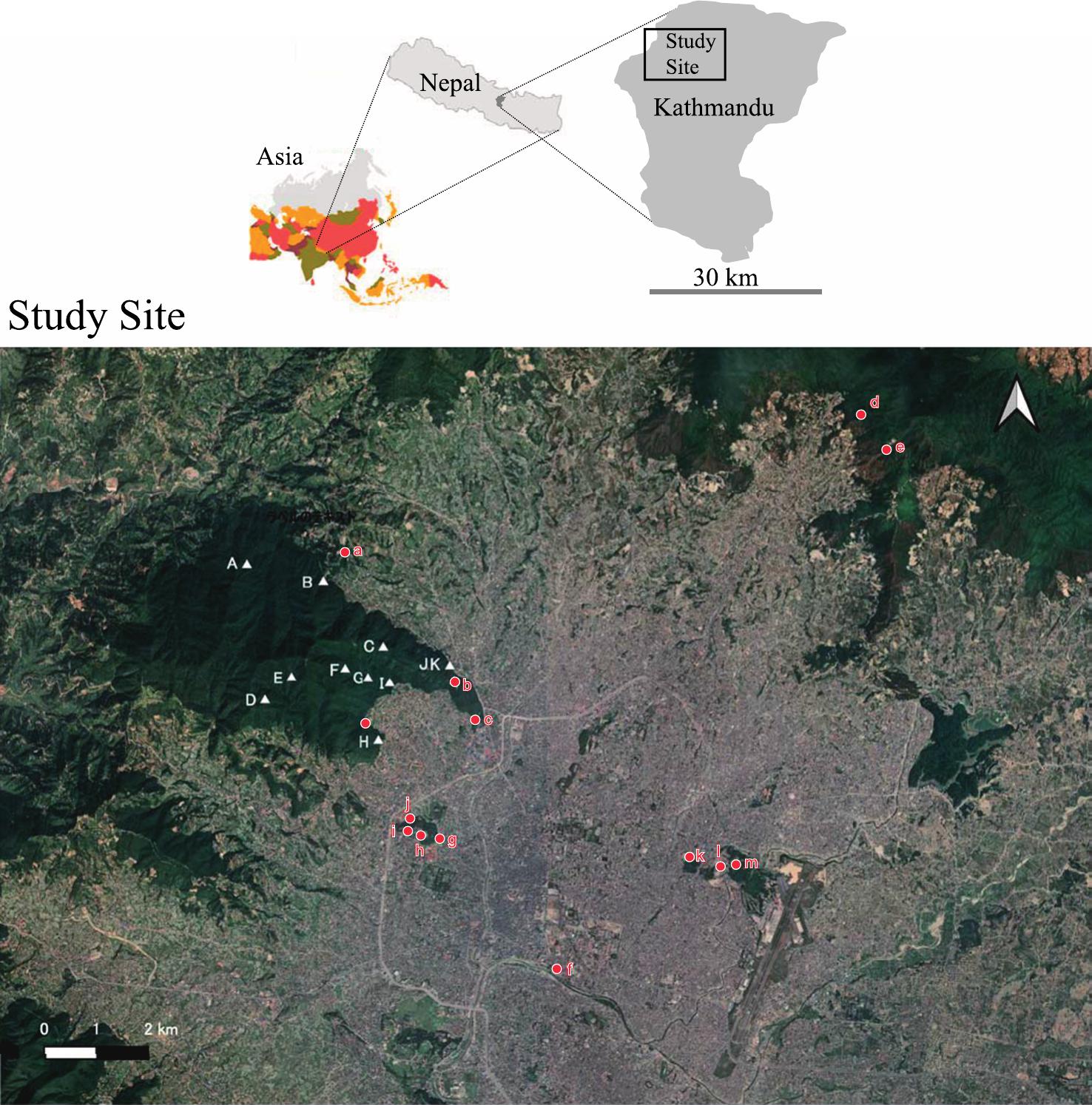 Distribution and Group Composition of Assamese and Rhesus Macaques in ...