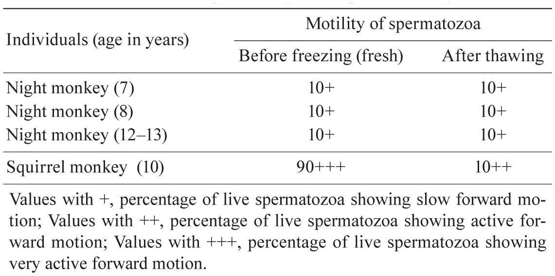 Morphological Characterization of Spermatozoa of the Night Monkey