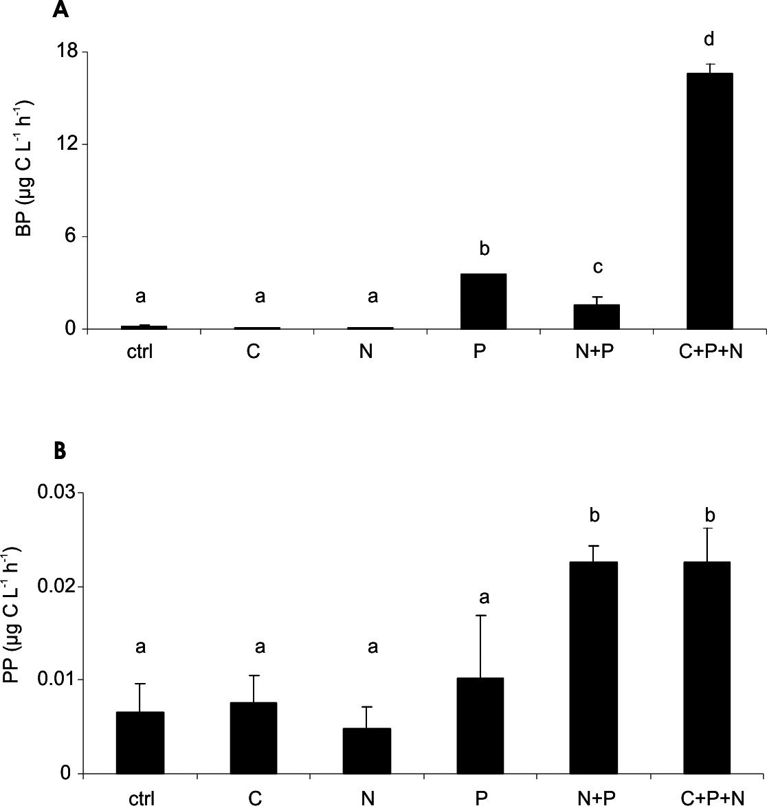 Benthic Organic Carbon Release Stimulates Bacterioplankton Production In A Clear Water Subarctic Lake