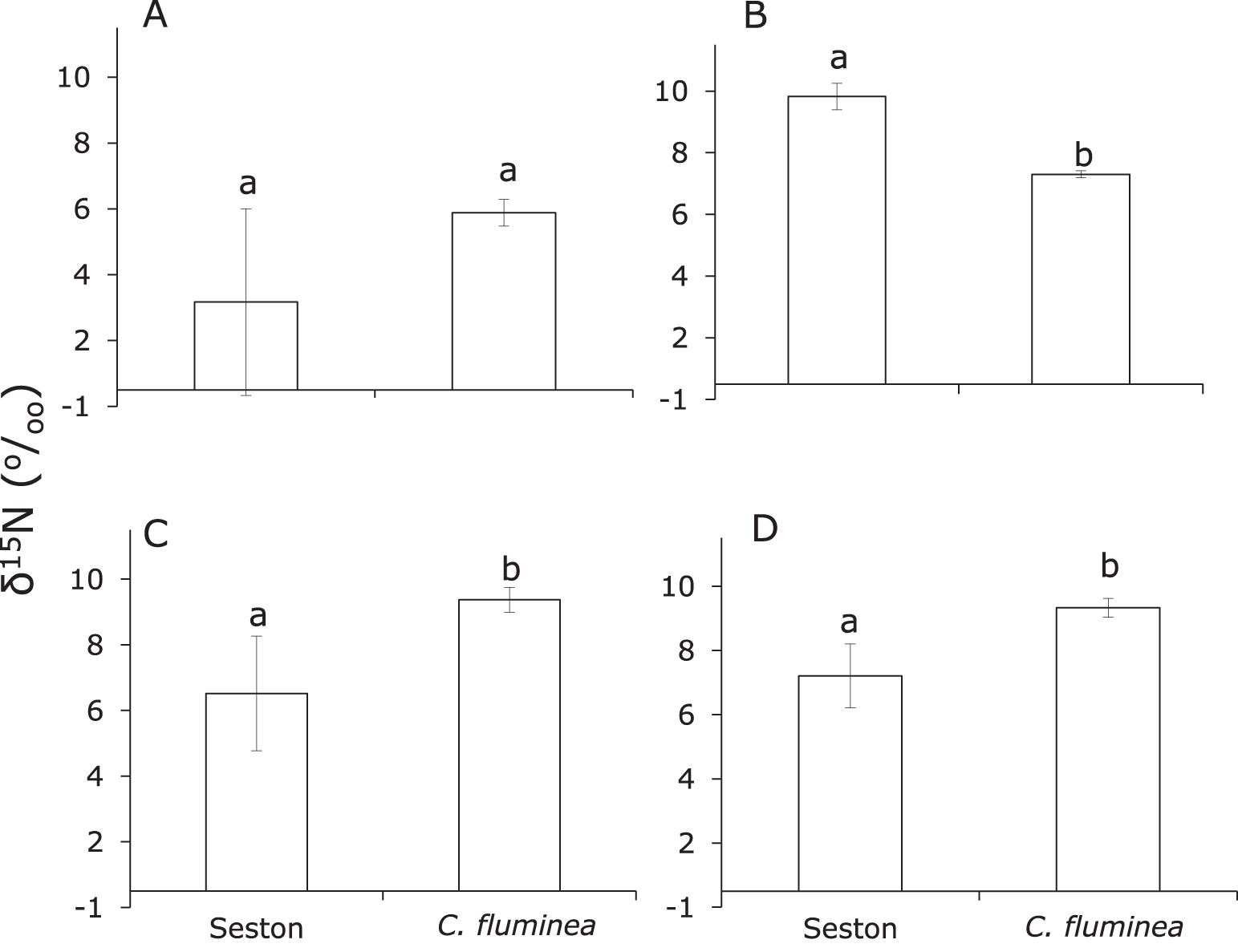 Impact of Corbicula fluminea (Asian clam) on seston in an urban