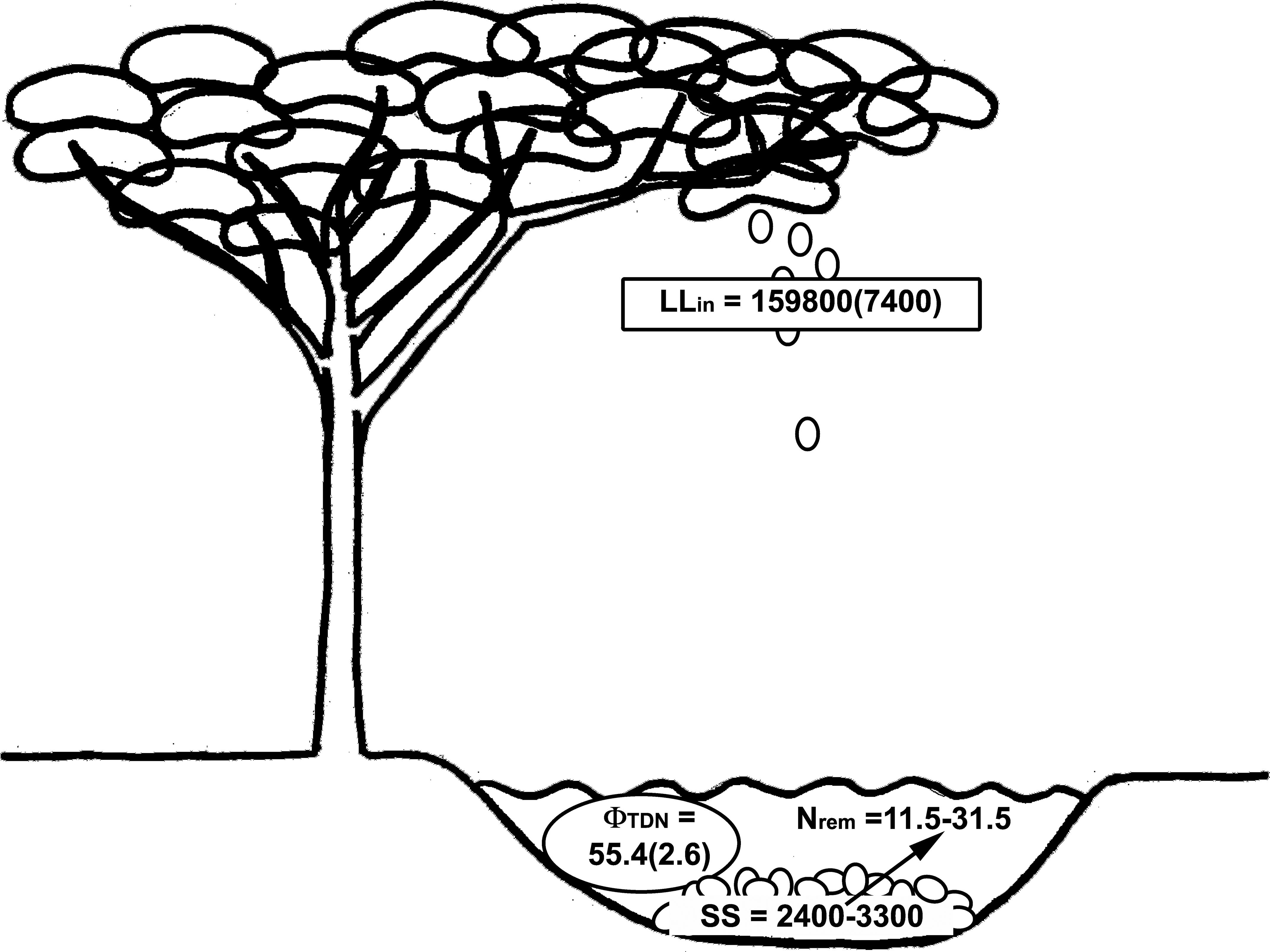 Meterstick, Plain Ends  Carolina Biological Supply