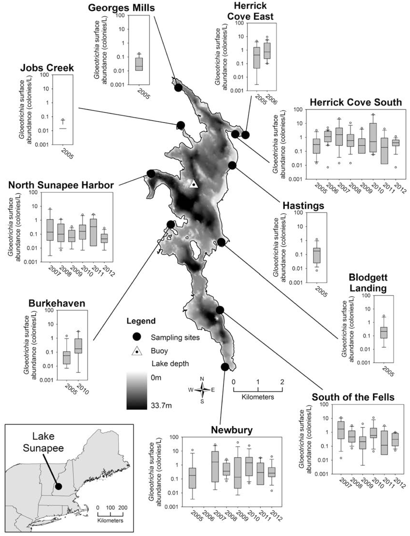 Spatial and temporal variability in recruitment of the Gloeotrichia echinulata in an oligotrophic lake