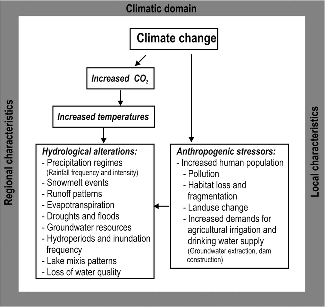 Resurrection ecology and global climate change research in freshwater ...