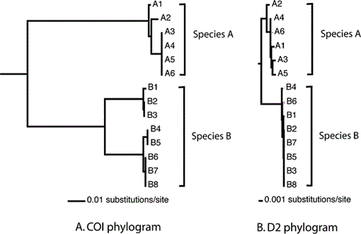 i0887-3593-26-4-719-f02.gif