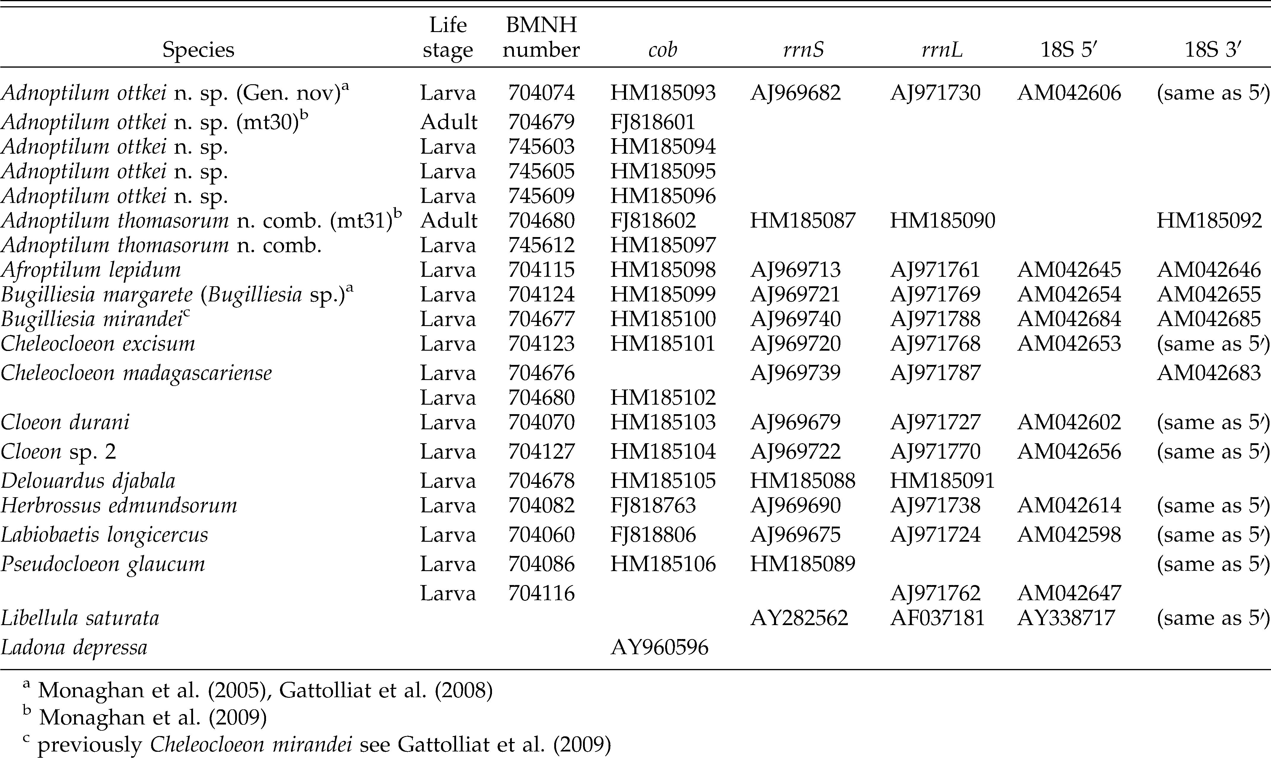 DNA-based association of adults and larvae in Baetidae (Ephemeroptera ...