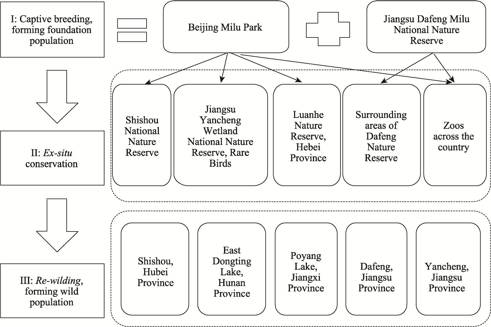 Pere David S Deer Elaphurus Davidianus In China Population Dynamics And Challenges