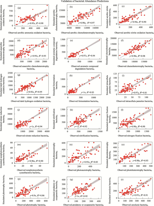 Modelling α-Diversity and Abundance of Soil Bacterial and Fungal