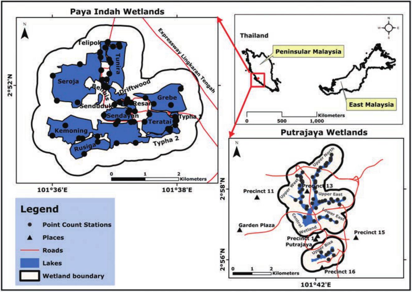 Environmental Factors and Spatial Heterogeneity Affect Occupancy Estimates  of Waterbirds in Peninsular Malaysia