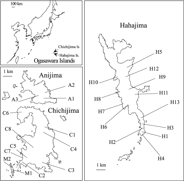 Taxonomic revision of the fossil land snail species of the genus ...