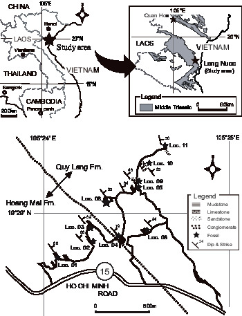 Discovery Of The Middle Triassic Ammonoid Balatonites In The Quy Lang 