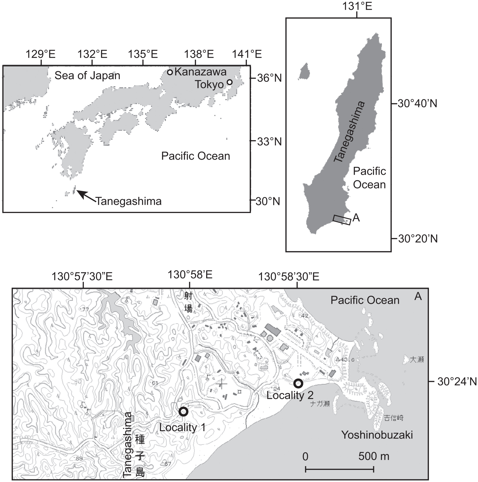 Miocene Ostracodes From The Osaki Formation Kukinaga Group Tanegashima Southwest Japan And Their Significance For The Biogeography Of The Indo West Pacific