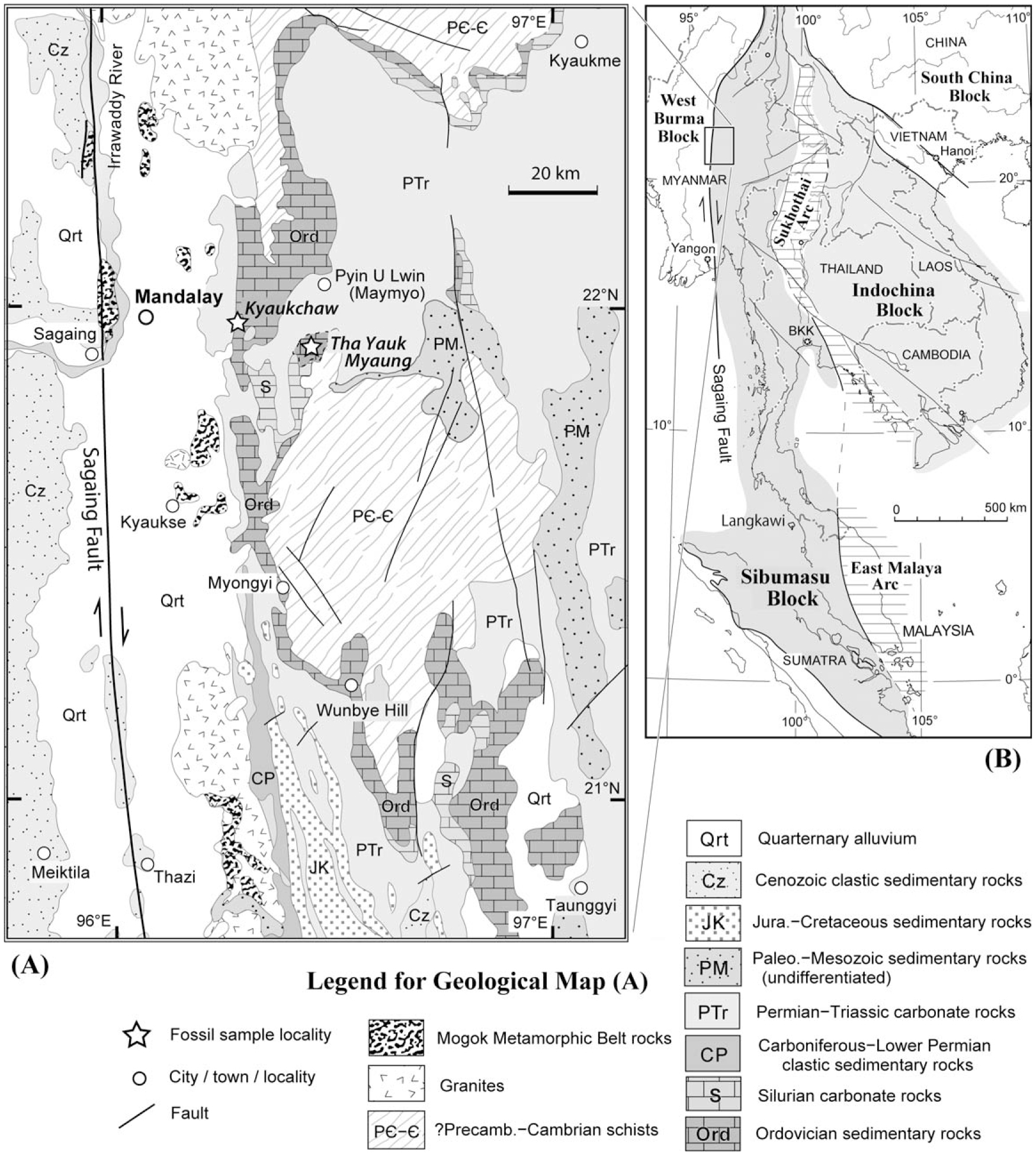 Actinocerid Cephalopods from the Ordovician of Myanmar, and their ...