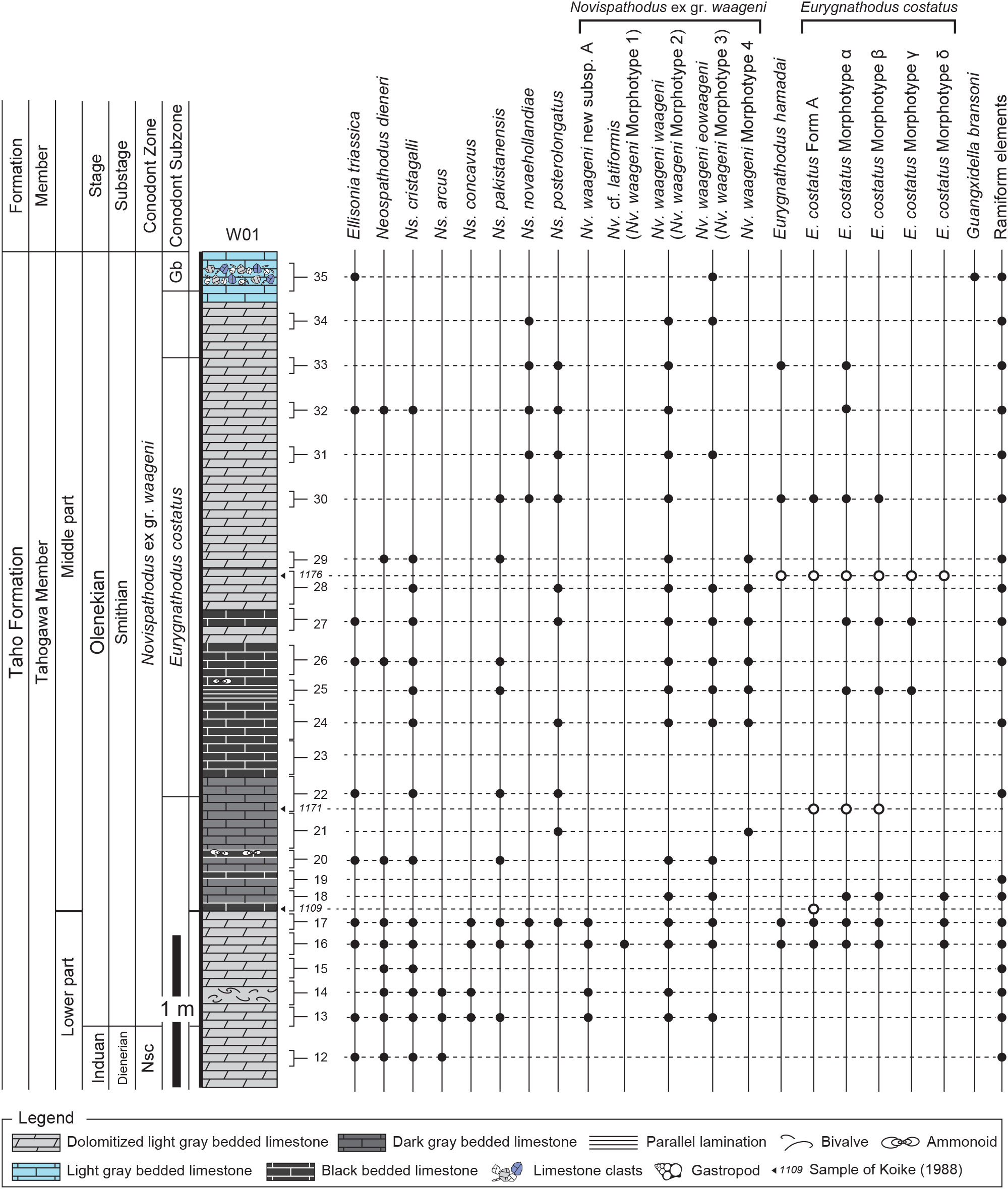 Early Triassic Conodonts From The Tahogawa Member Of The - 