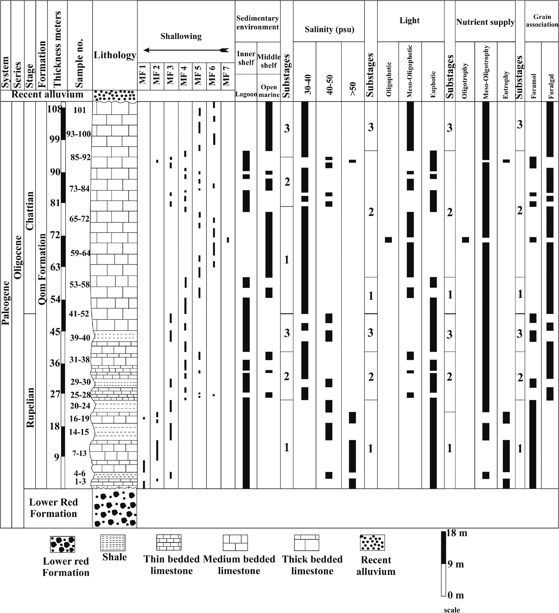 corel paradox data dependent in a form