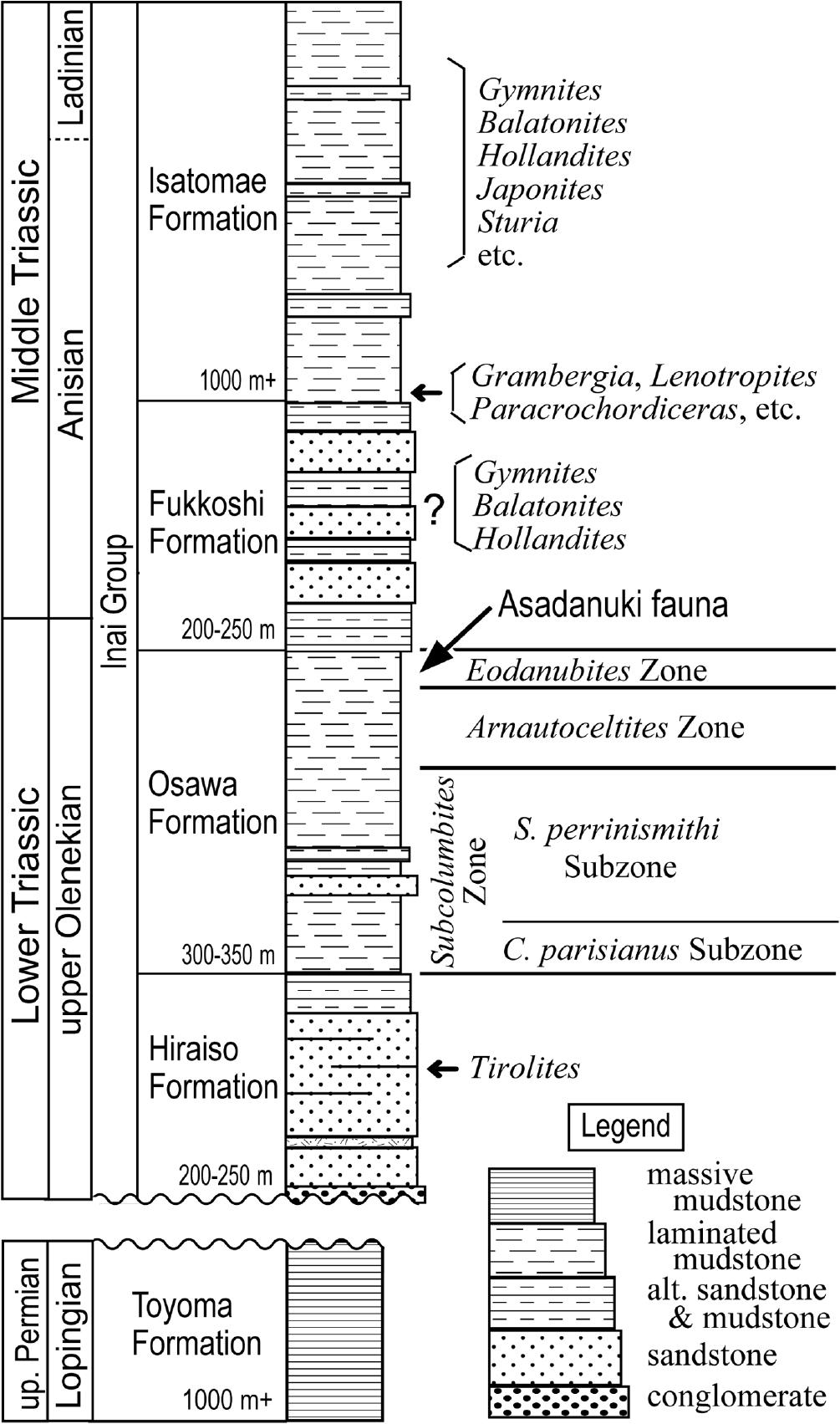 Latest Olenekian (Early Triassic) Ammonoids from the Uppermost Part of ...