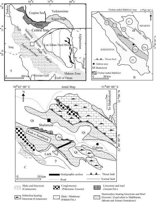 Systematic Paleontology of Bartonian Larger Benthic Foraminifera from ...