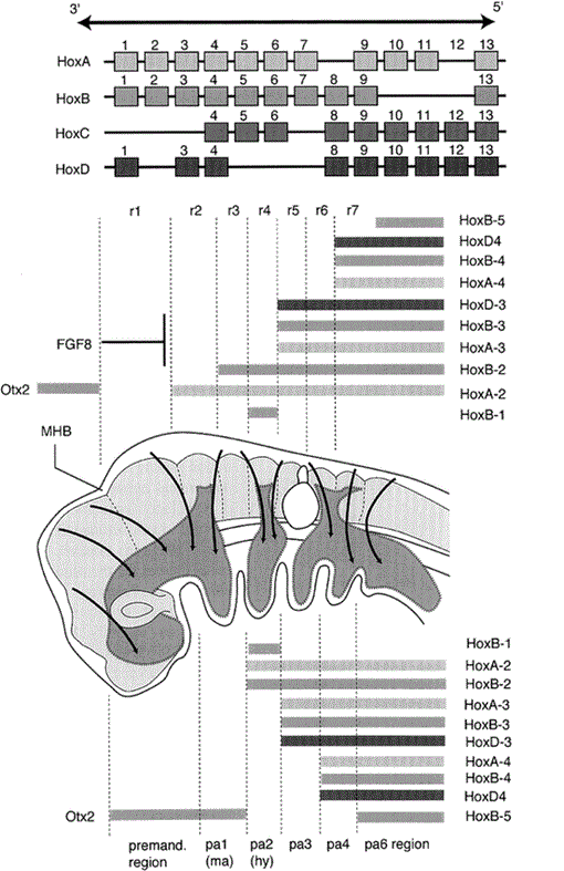 i1342-8144-7-1-89-f03.gif