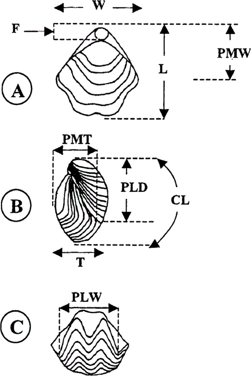 i1342-8144-7-2-111-f05.gif