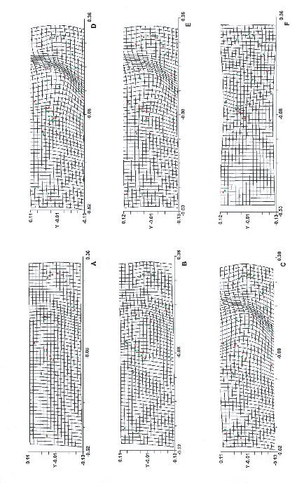 Thin-plate splines depicting the wing shape differences between males