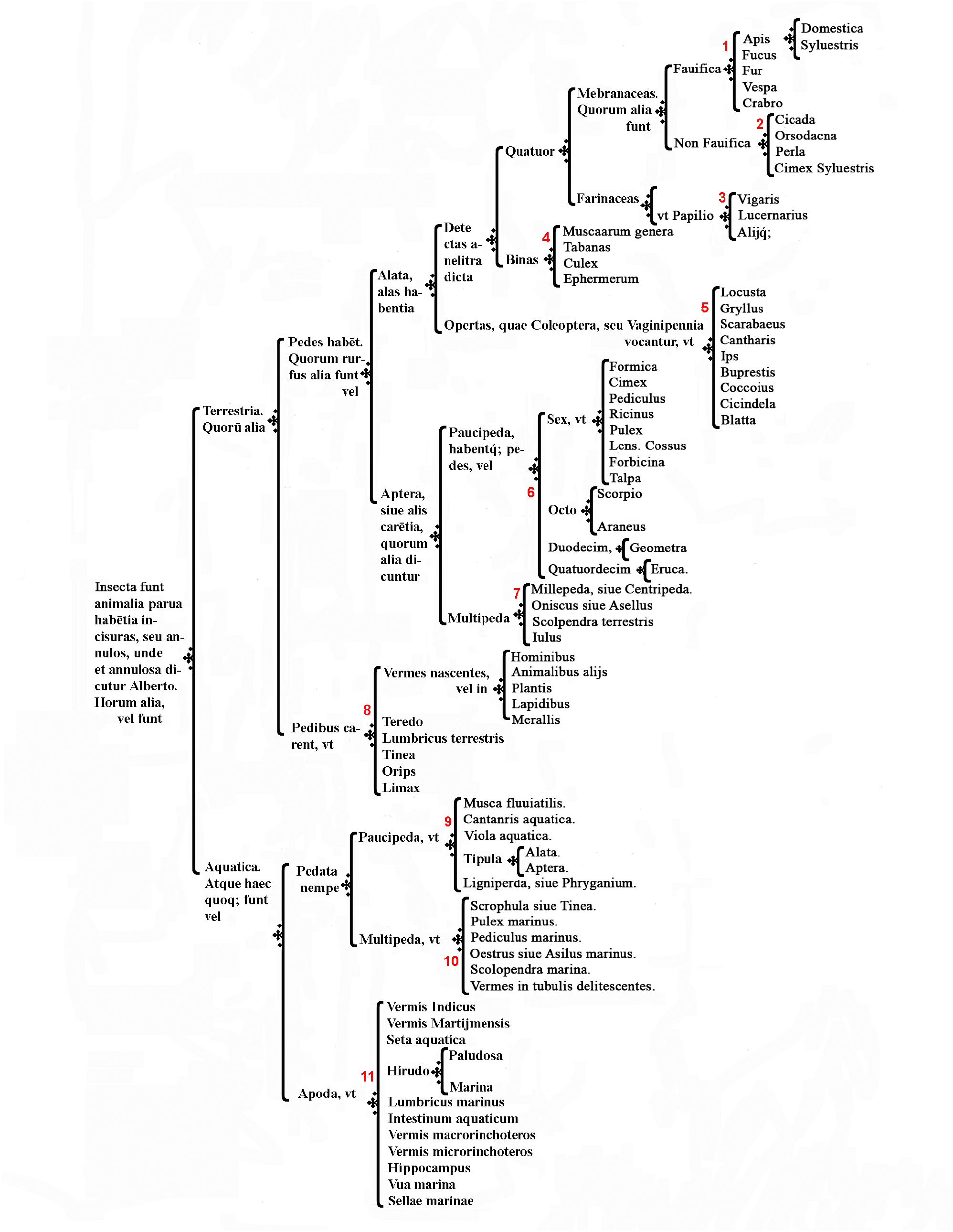 Controversies Over The Scientific Name Of The Principal Mosquito