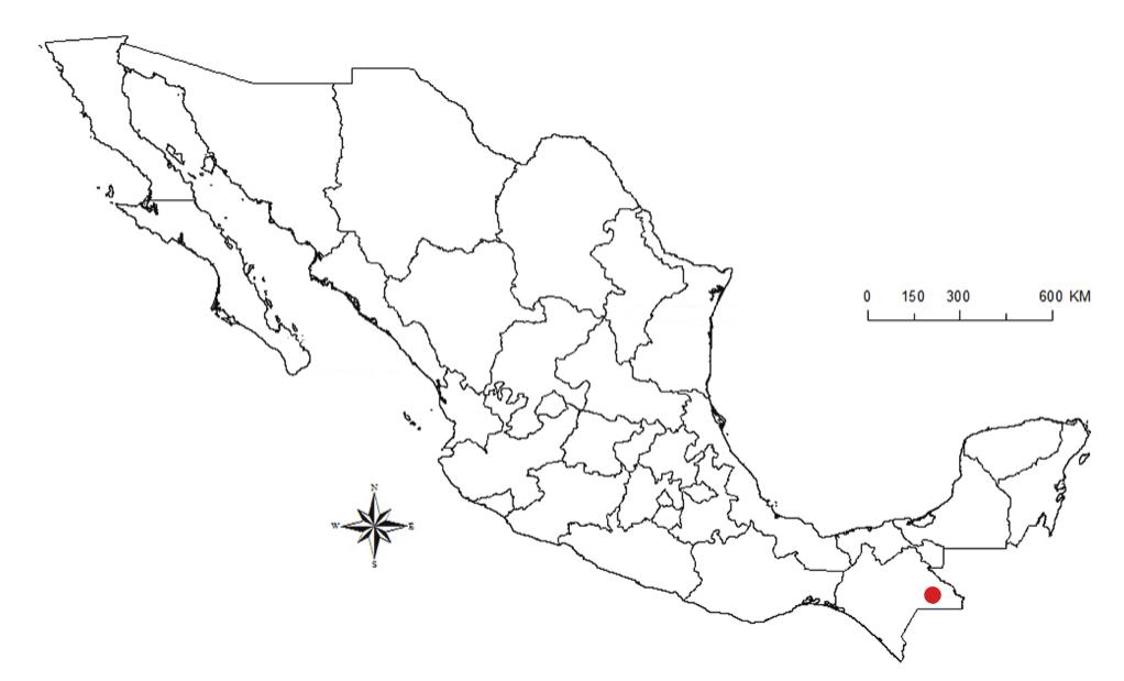 Life cycle of Triatoma huehuetenanguensis Lima-Cordón, Monroy, Stevens ...