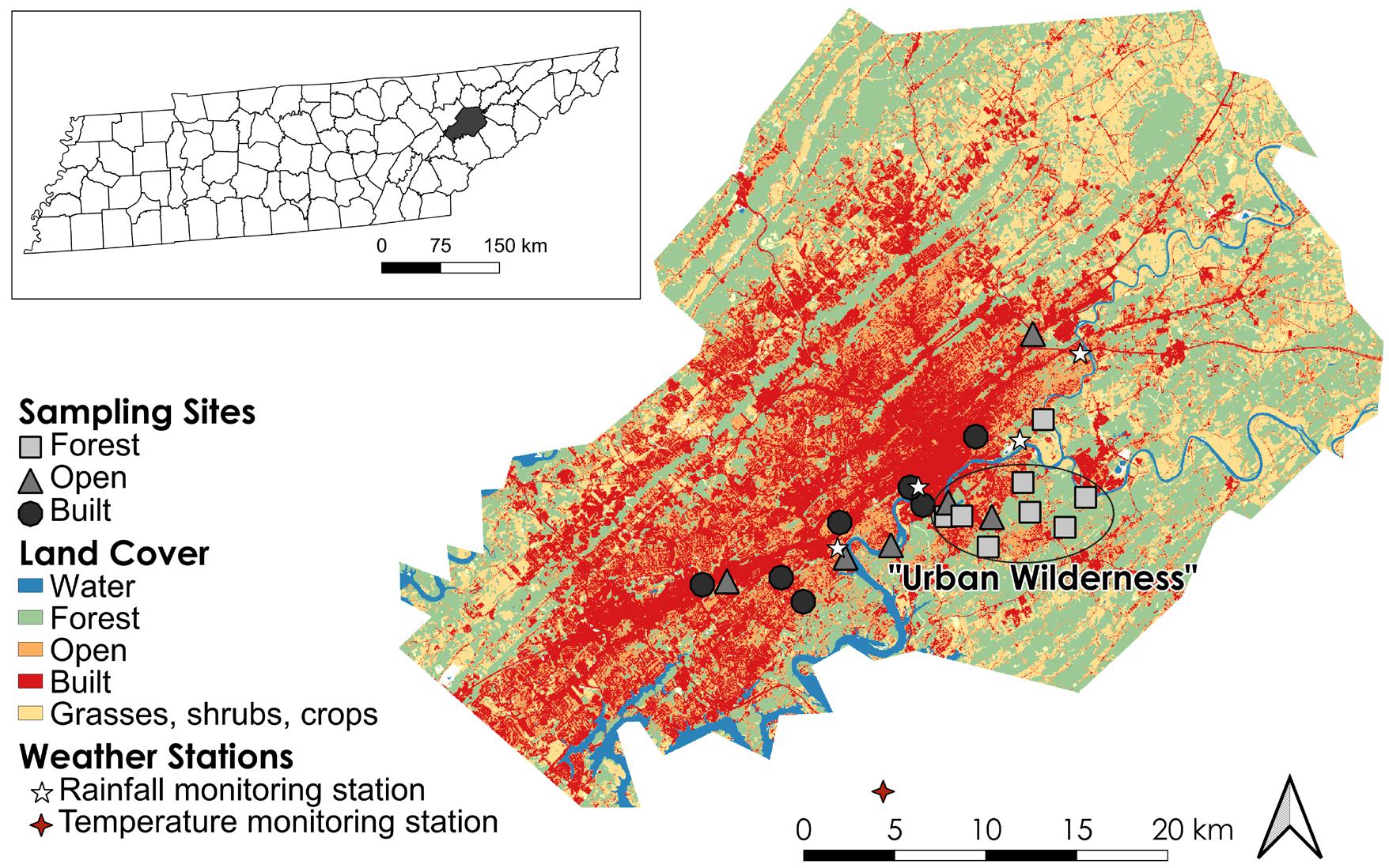 Fine-scale associations between land cover composition and the ...