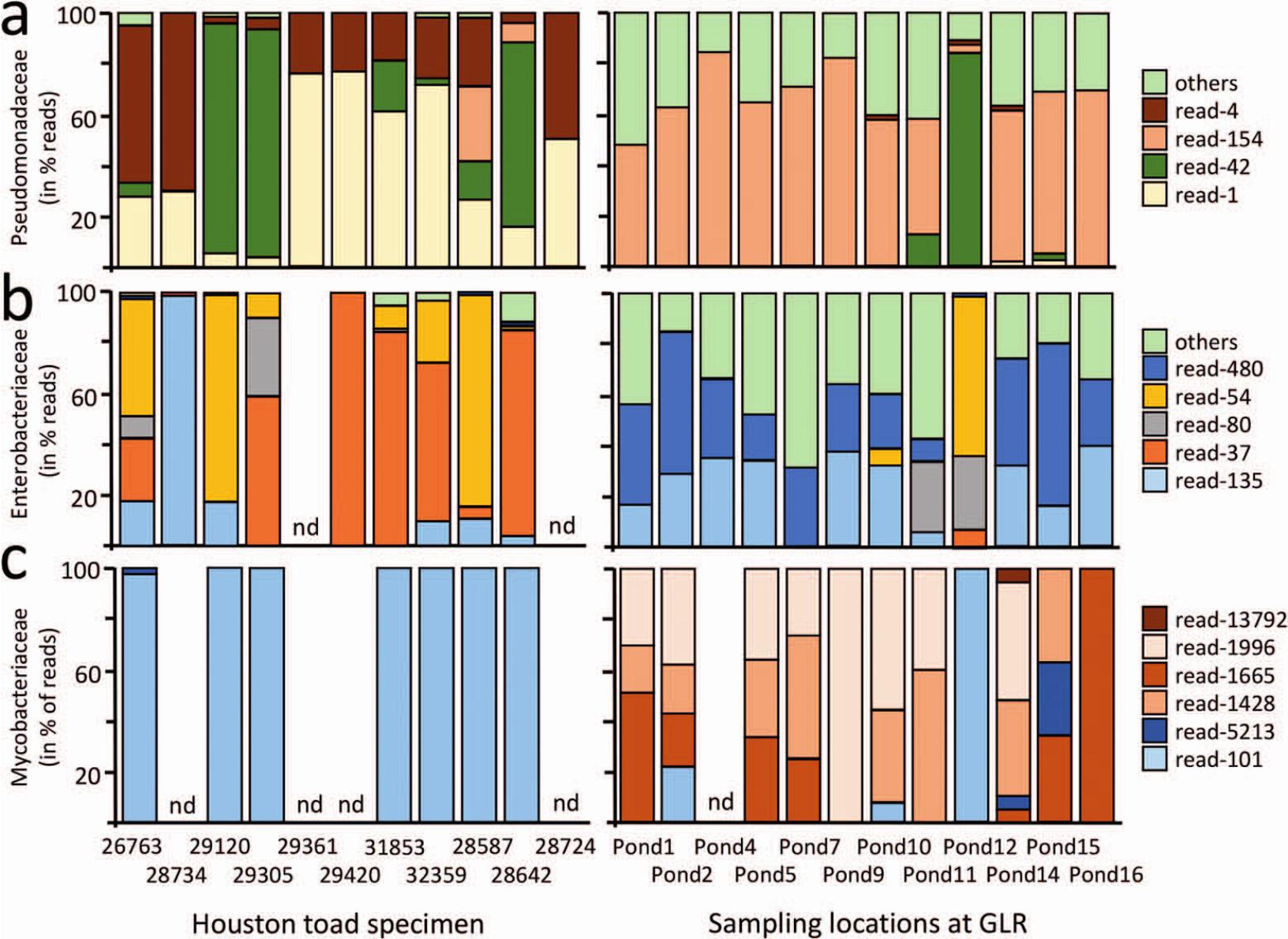 MYCOBACTERIA IN SKIN LESIONS AND THE HABITAT OF THE ENDANGERED HOUSTON ...