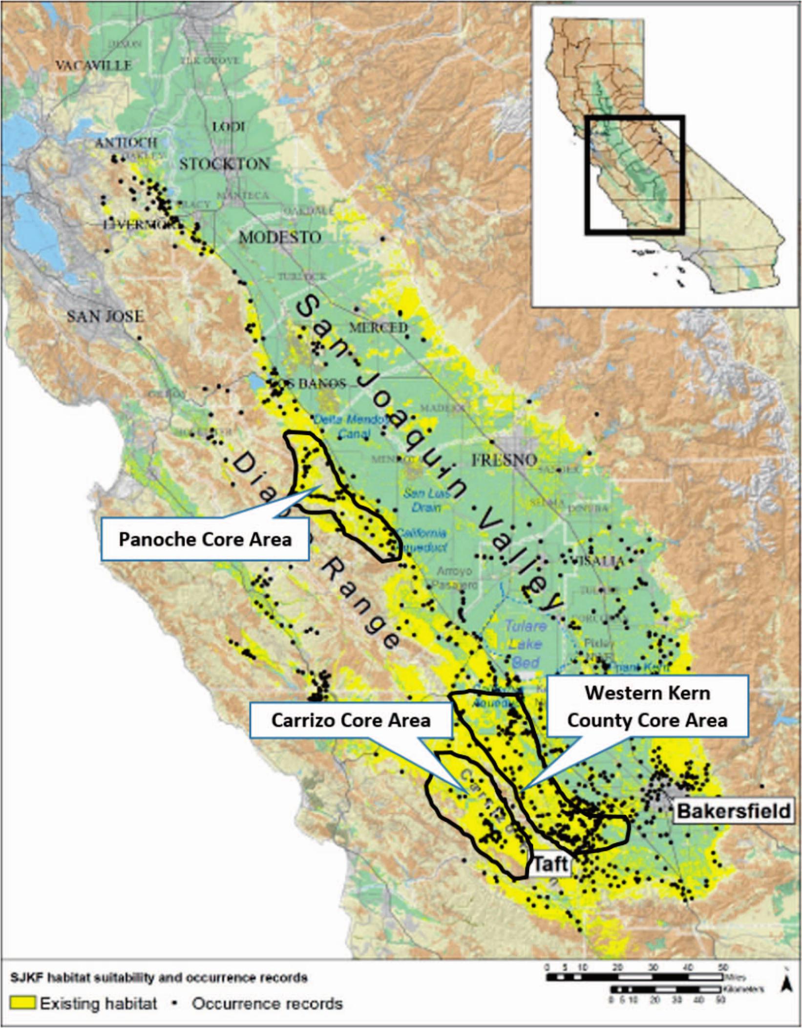 MOVEMENTS BY SAN JOAQUIN KIT FOXES (VULPES MACROTIS MUTICA) BETWEEN